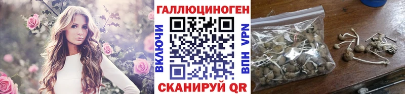 где можно купить мориарти клад Галлюциногенные грибы ЛСД Железногорск